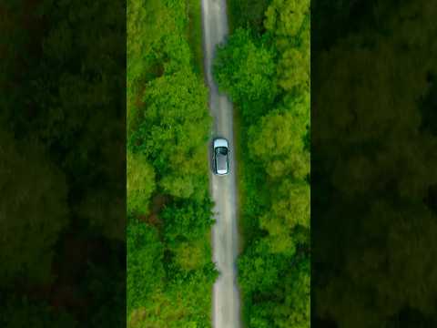 Wild Roads: Clean Air #Shorts