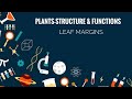 Leaf Structure and Margin Characteristics