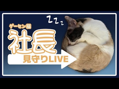 thumbnail_b3_PdXcPqvY