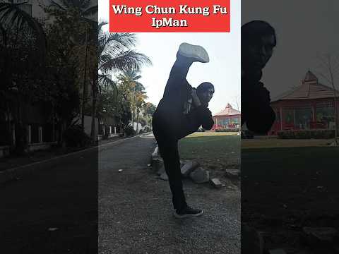 Wing Chun Kung Fu IpMan | Chinese Martial arts | Training #youtubeshorts #wingchun #shorts #kungfu