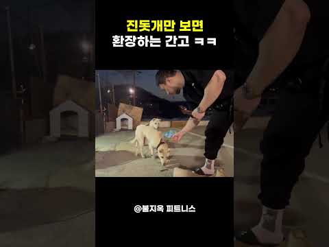 독설가 간고가 유일하게 무장해제되는 순간 ㅋㅋㅋ (feat. 진돗개)