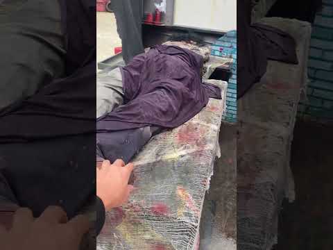 Funny and interesting troll videos that you cannot miss. #186