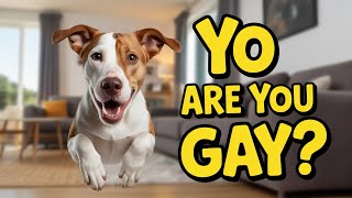 Best and Funniest MEMEs on the Internet!