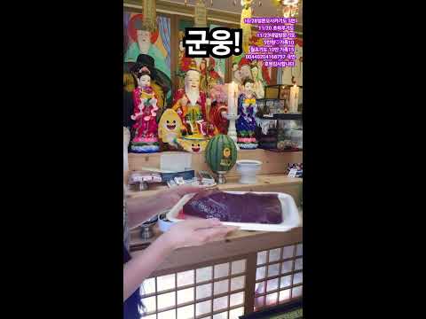 군웅! 미래보살  라이브 방송 #무당 #소통 #타로 #신점 #사주