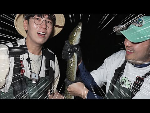 대왕 무태장어를 맨손으로 잡았습니다! [EP5 오키나와]