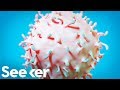 Stem Cell Therapy and Clinical Trials