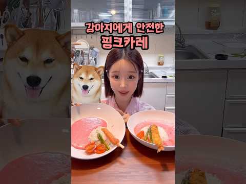 강아지와 핑크카레 만들어 먹기 💕