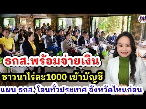 ข่าวดีชาวนา พร้อมรับเลยก่อนปีใหม่ ธกส.พร้อมจ่ายเงินชาวนาเข้าบัญ เช็คแผนจ่ายเงินจังหวัดไหนได้ก่อนฟัง!
