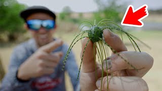 Do These Weird Soft Plastic Lures Catch More Largemouth Bass???
