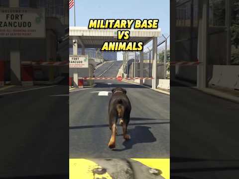 Consequence of entering the military base of gta 5 with an animal #gta #gaming #gta5