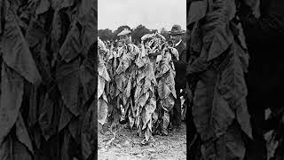 Tobacco Used To Be Money