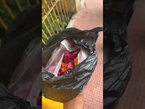 मुस्लिम लड़की ने मारा पंडितजी के अंडा ? #ytshorts #shorts