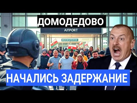 Вот это Поворот: Целый Рейс Развернули в Домодедово и Депортировали Обратно в Азербайджан