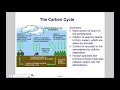 Exploring Biogeochemical Cycles