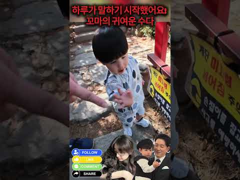 하루가 말하기 시작했어요! 꼬마의 귀여운 수다 #심형탁 #심하루 #하루 #형탁사야 #사야 #한일부부 #예능 #Haru #SimHyungtak #ハル #슈돌