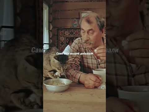 В любой ситуации любите своих животных