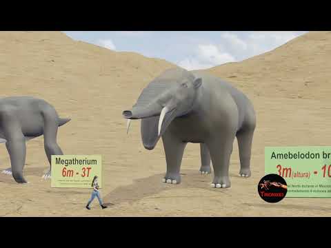 Know the size of CENOZOIC BEASTS. Animales de la ERA CENOZOICA. Animated Size Comparison.