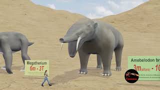 Know the size of CENOZOIC BEASTS. Animales de la ERA CENOZOICA. Animated Size Comparison.