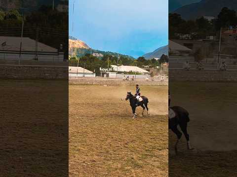 Freestyle Polo Chitral|#polo #horse #polohorse #horseriding #chitralpolo #horselover #youtubeshorts