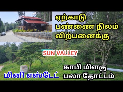 ஏற்காட்டில் மெயின் ரோட்டில் குறைந்த விலையில் அழகிய பண்ணை நிலம் விற்பனைக்குFarm Land Sale In Yercaud
