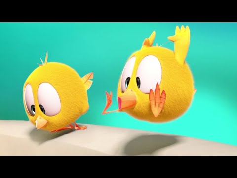 Sink Slide | Where's Chicky? | Cartoon Collection in English for Kids | New episodes