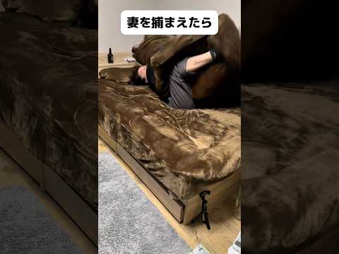 こういう虫いるよねwww #shorts