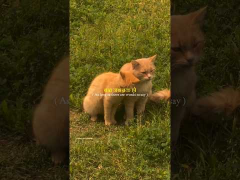 25 Second Of ' Udit Narayan ' Song These Lines ✨ | Hath Mera Tham Lo 🫴🏻 | #shorts #love