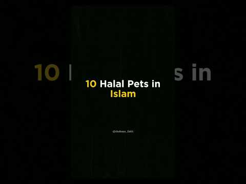 10 Halal pets in Islam