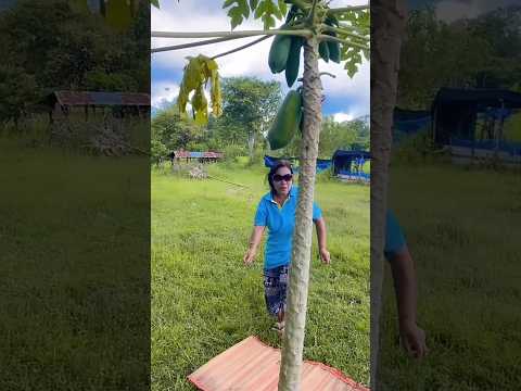 ada ada aja si nenek bikin ketawa ngakak! #funny #comedy #lucu #viralshort
