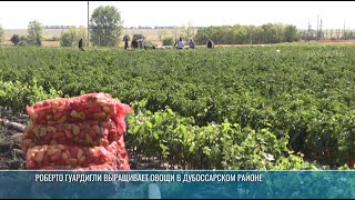 Овощи от приднестровского итальянца