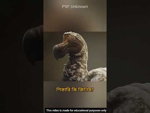 যে কারণে বিলুপ্ত Dodo bird 🦤 #facts #shorts