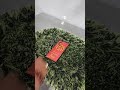Quiz về Video Hướng Dẫn