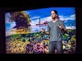 Fish Behavior and Coral Reef Dynamics
