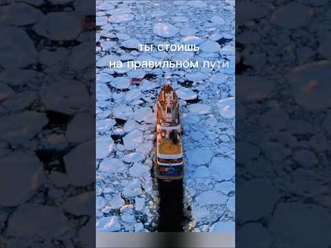 Ты стоишь на правильном пути #моменты #фильмы #моменты #shortvideo #сериал #кино #топ