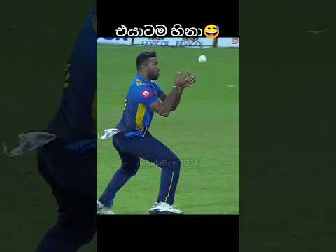 වොලිබෝල් ගහනවලු😅 #srilanka #youtubeshorts #cricketlover