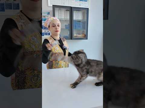 Cinnet geçiren kedimiz geldi😱😳