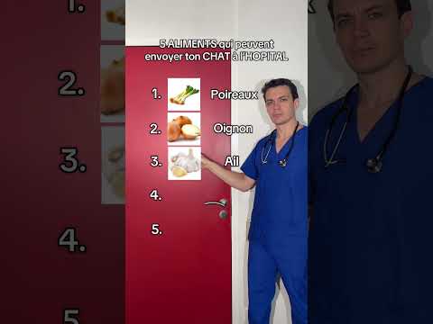 5 aliments toxiques pour ton chat #chat #top