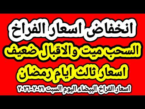 اسعار الفراخ البيضاء اليوم/اسعار الفراخ البيضاء اليوم السبت ٢١-٢-٢٠٢٦ جمله وقطاعي في مصر 