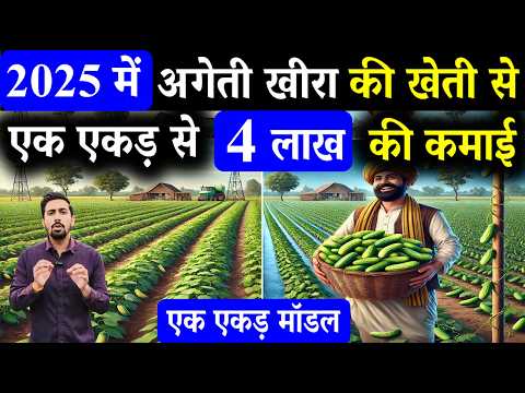 2025 में अगेती खीरा की खेती से सिर्फ 70 दिनों में कमाये 3 लाख | khire ki kheti | kheera ki kheti