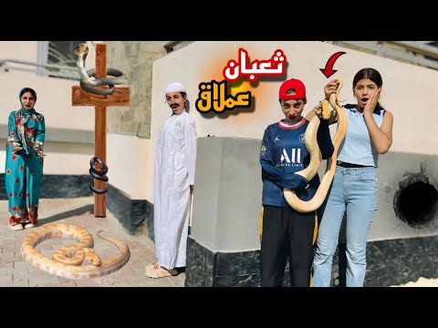 لما اخوك الصغير يجيب اكبر ثعبان في العالم🐍ويعمل بيه مقلب في عيلتو😱😂|روان ستارز😍