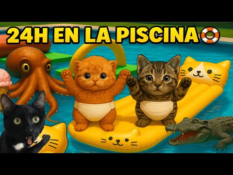 24 HORAS EN LA PISCINA CON LOS NUEVOS GATITOS Y UN PULPO / Videos de gatos graciosos Luna y Estrella