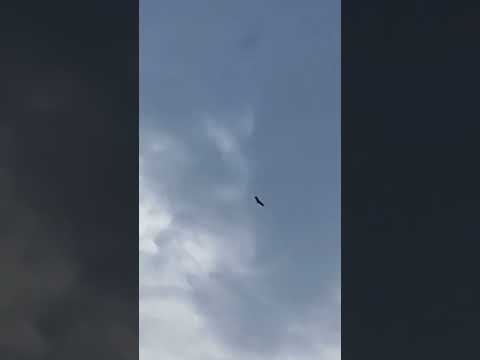 evening view #shorts @nirmal videos