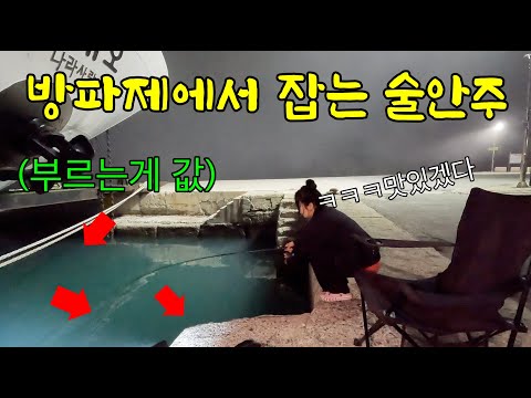 방파제 구석구석에 숨어 있는 아주 귀한 술안주를 잡아보자!