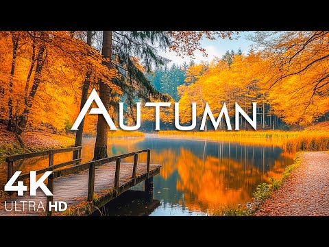 Enchanting Autumn Forests with Beautiful Piano Music&#127809;4K Autumn Ambience &amp; Fall Foliage #20