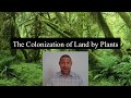 Plant Adaptations and Evolutionary History