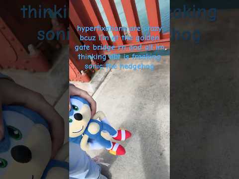 Hehe :3 #sonicthehedgehog #goldengatepark #hyperfixation