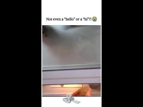 Not even a “hello” or a “hi”?! 😭