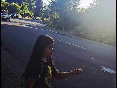 Lake Stevens High School Senior Parade Class of 2025 #senior #graduation