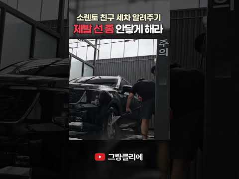 제발 선 좀 안닿게 해라ㅋㅋㅋㅋㅋ 소렌토 친구 세차 알려주기 #shorts