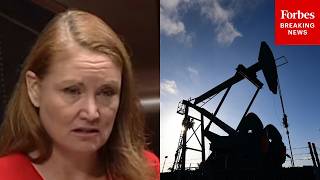 YouTube video thumbnail: 'The Planet is Raising the Alarm': Melanie Stansbury Rips U.S. Relaxing Environmental Regulations